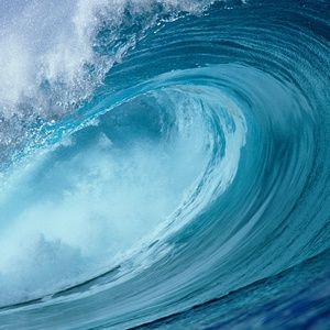 Meet your Posher, Matti